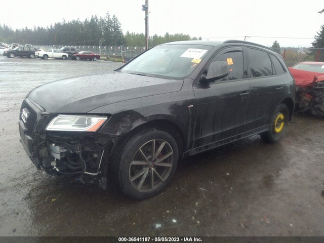 WA1DGAFP4FA086336 Audi Q5 Premium Plus