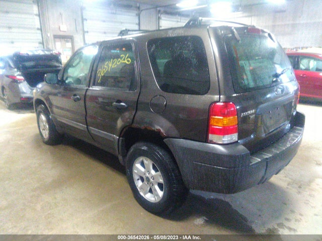 2007 FORD ESCAPE XLT VIN: 1FMYU03Z77KA40765