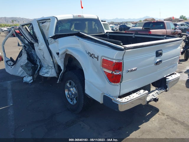 2009 FORD F-150 XL/XLT/FX4/LARIAT VIN: 1FTPX14V89KC89362
