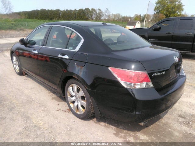 2008 HONDA ACCORD SDN EX-L VIN: 1HGCP36818A045351