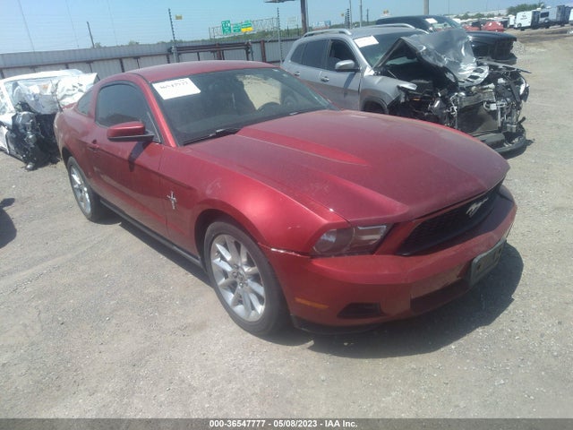 Продажа на аукционе авто 2010 Ford Mustang V6, vin: 1ZVBP8AN7A5146684, номер лота: 36547777