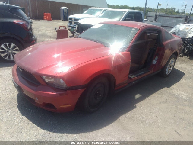Продажа на аукционе авто 2010 Ford Mustang V6, vin: 1ZVBP8AN7A5146684, номер лота: 36547777