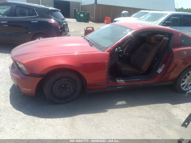 Продажа на аукционе авто 2010 Ford Mustang V6, vin: 1ZVBP8AN7A5146684, номер лота: 36547777