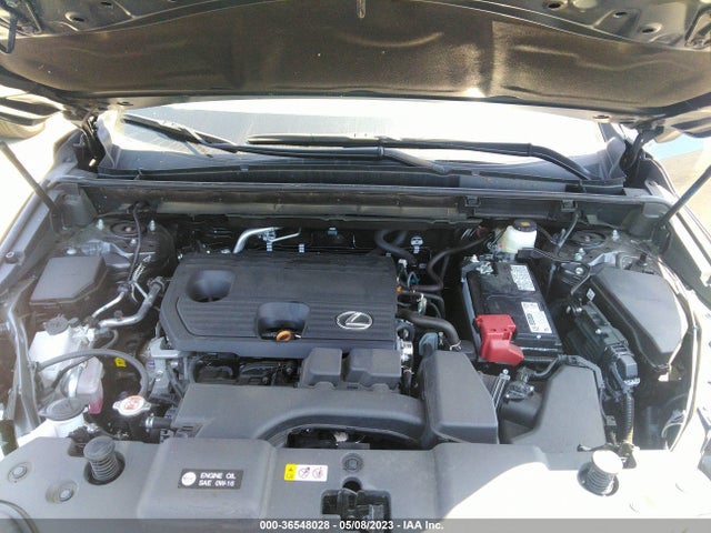 2022 Lexus NX, VIN: 2T2ADCAZ6NC001072