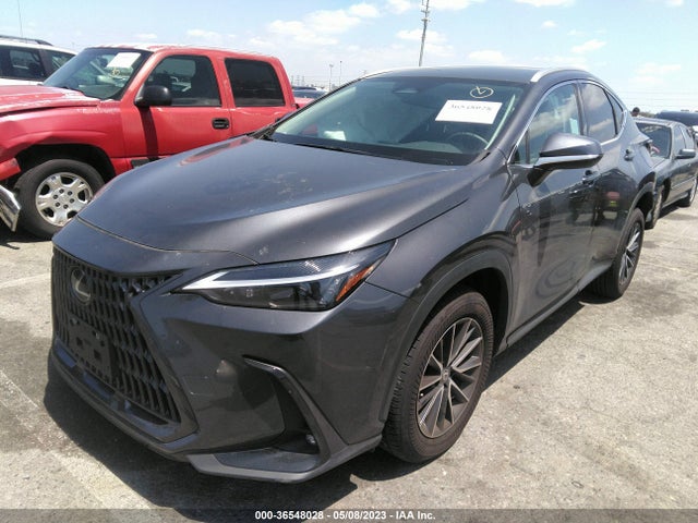 2022 Lexus NX, VIN: 2T2ADCAZ6NC001072
