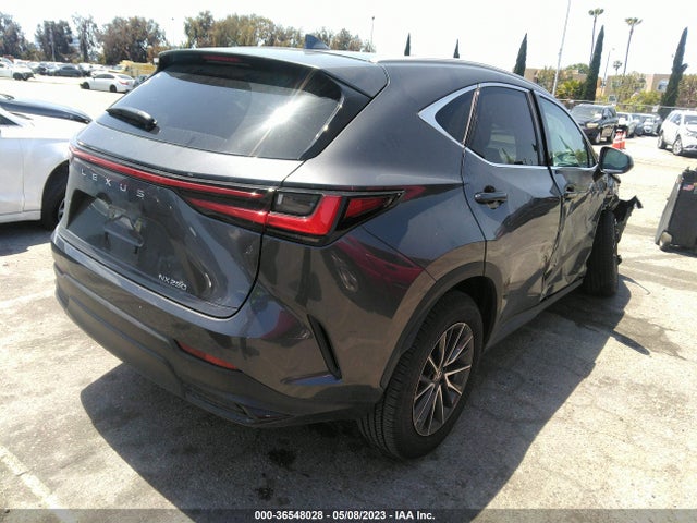 2022 Lexus NX, VIN: 2T2ADCAZ6NC001072