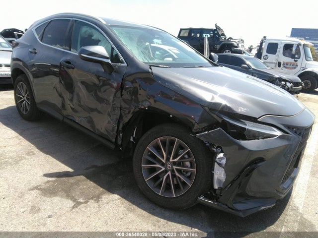 2022 Lexus NX, VIN: 2T2ADCAZ6NC001072