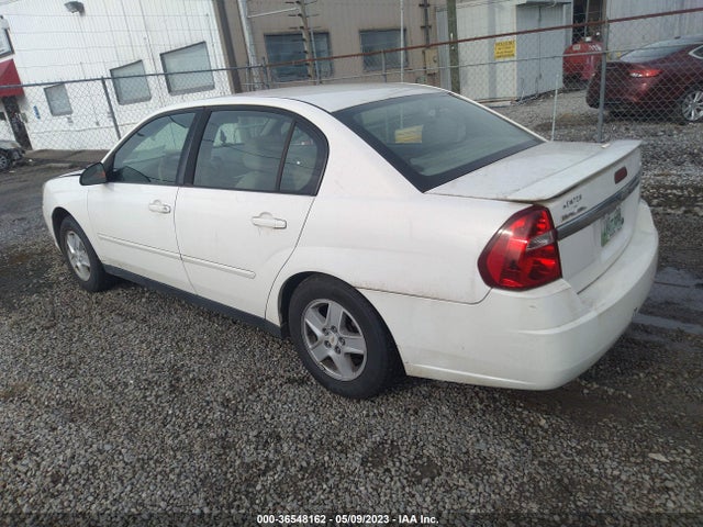 2005 CHEVROLET MALIBU LS VIN: 1G1ZT52855F254248