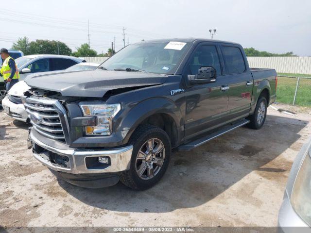 1FTEW1CP6FKD25736 Ford F-150 Xl/lariat/xlt