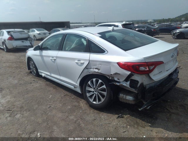 2017 HYUNDAI SONATA SPORT VIN: 5NPE34AFXHH513598