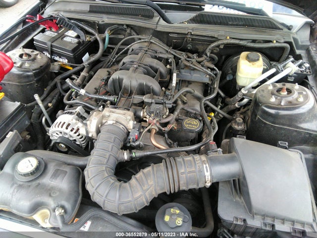 2007 FORD MUSTANG DELUXE/PREMIUM VIN: 1ZVHT84N775280024