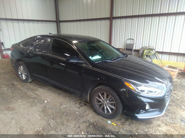 2019 5NPE24AF7KH808734 main image