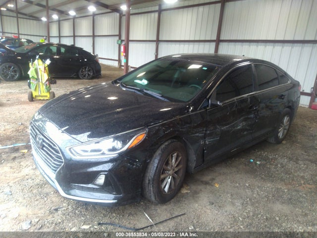 Hyundai SONATA SE 2019 5NPE24AF7KH808734 Image 2