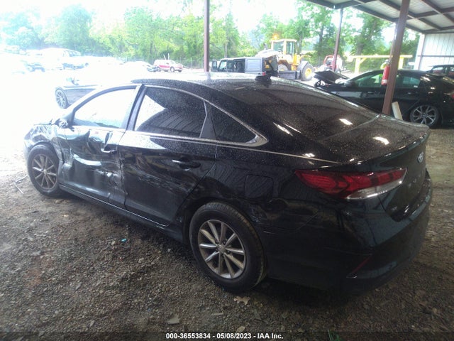 Hyundai SONATA SE 2019 5NPE24AF7KH808734 Image 4