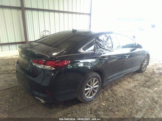 Hyundai SONATA SE 2019 5NPE24AF7KH808734 Image 5