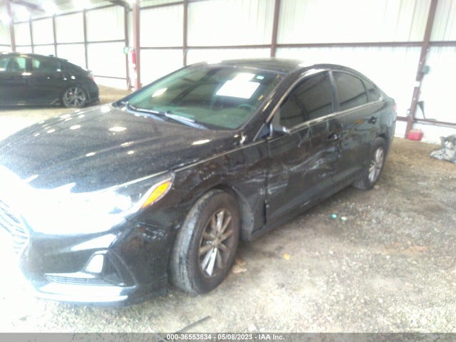 Hyundai SONATA SE 2019 5NPE24AF7KH808734 Image 7