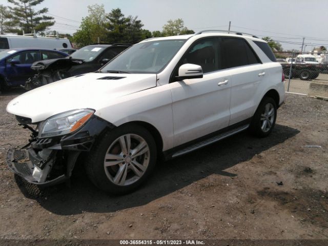 4JGDA5HB0FA492142 Mercedes-Benz M-class Ml 350
