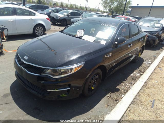 5XXGT4L31JG242234 KIA Optima Lx