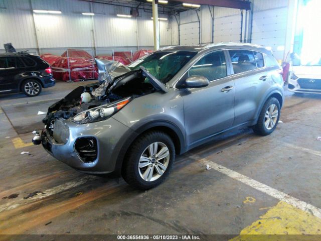 KNDPMCAC4H7244928 KIA Sportage Lx