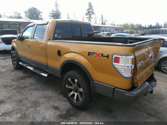 2009 FORD F-150 XL/XLT/FX4/LARIAT VIN: 1FTPW14V39KC51265