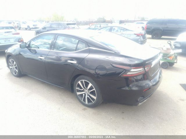 1N4AA6CV0MC514033 Nissan MAXIMA SV