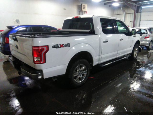 1FTEW1EP5GKD55275 Ford F-150 Xlt/xl/lariat
