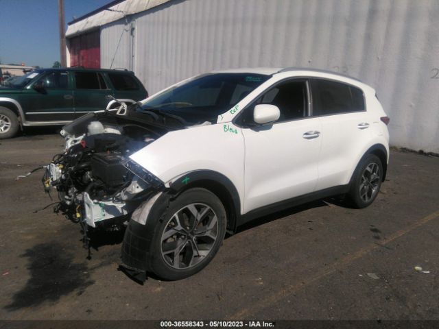 KNDPN3AC7L7702418 KIA Sportage Ex