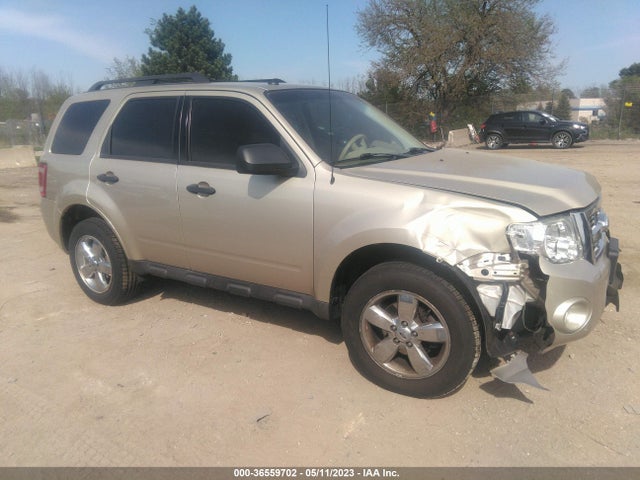 2011 FORD ESCAPE XLT VIN: 1FMCU0D78BKA49104