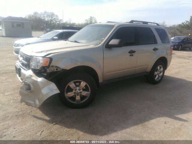 2011 FORD ESCAPE XLT VIN: 1FMCU0D78BKA49104