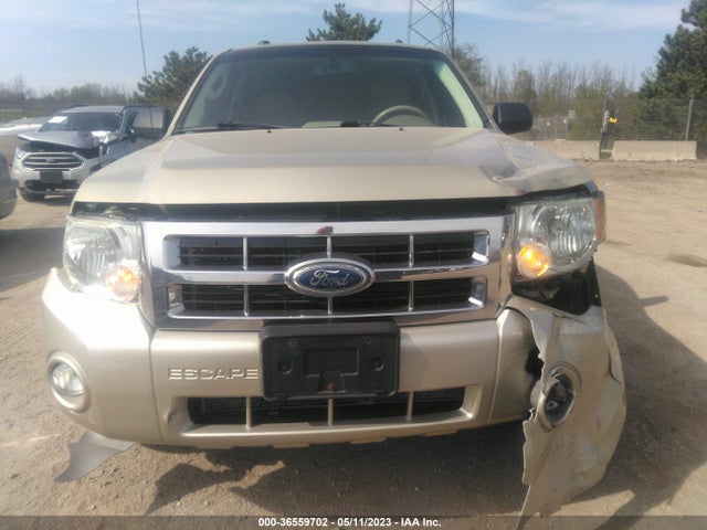 2011 FORD ESCAPE XLT VIN: 1FMCU0D78BKA49104