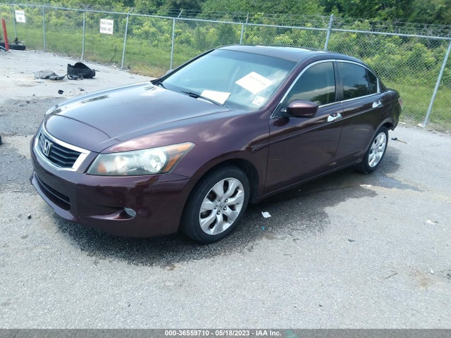 2010 HONDA ACCORD SDN EX-L VIN: 5KBCP3F80AB018090