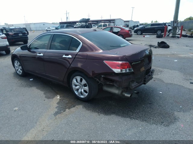 2010 HONDA ACCORD SDN EX-L VIN: 5KBCP3F80AB018090
