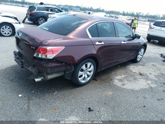2010 HONDA ACCORD SDN EX-L VIN: 5KBCP3F80AB018090