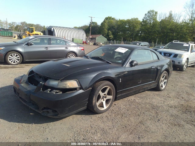 2003 FORD MUSTANG SVT COBRA VIN: 1FAFP48YX3F301969