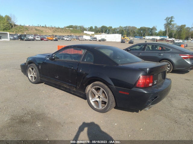 2003 FORD MUSTANG SVT COBRA VIN: 1FAFP48YX3F301969