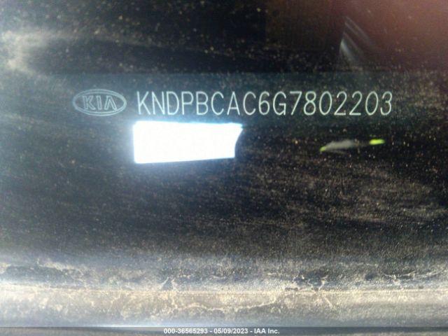 KNDPBCAC6G7802203 KIA Sportage Lx