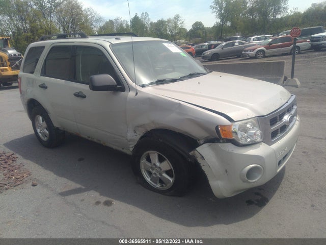 2009 FORD ESCAPE XLT VIN: 1FMCU93789KB79898