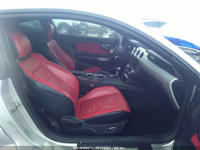 1FA6P8CF1F5369441 Ford MUSTANG GT