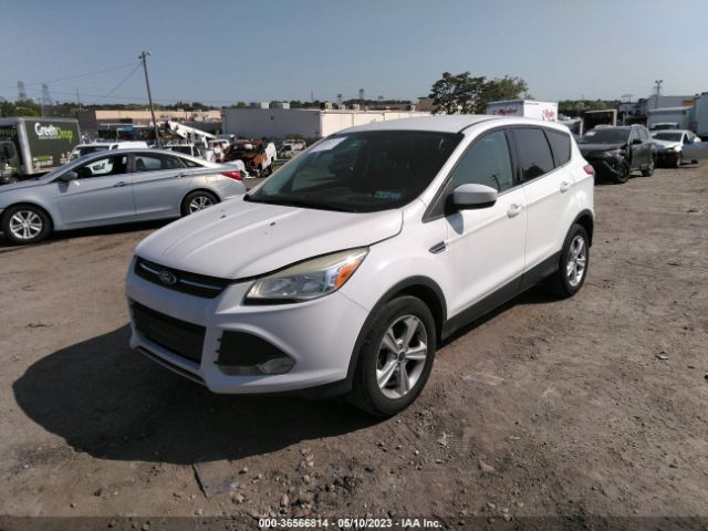 1FMCU0GXXEUE14435 Ford ESCAPE SE