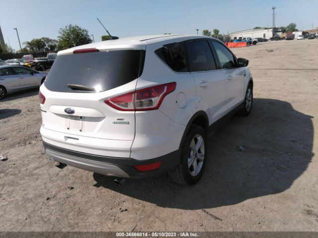 1FMCU0GXXEUE14435 Ford ESCAPE SE