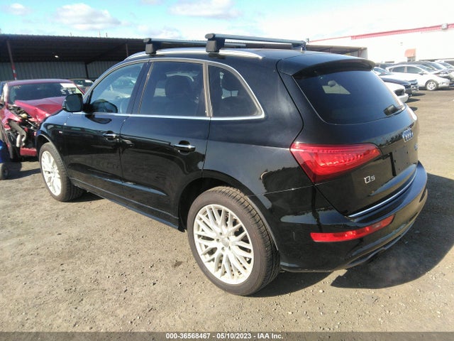 WA1M2AFP6HA031338 Audi Q5 Premium Plus