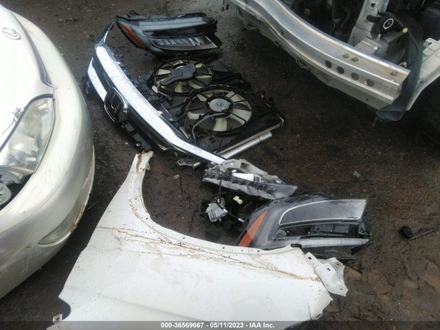 Honda Pilot Elite 2019 5FNYF6H04KB068315 Image 12
