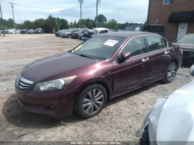 2011 HONDA ACCORD SDN EX-L VIN: 1HGCP3F85BA013090