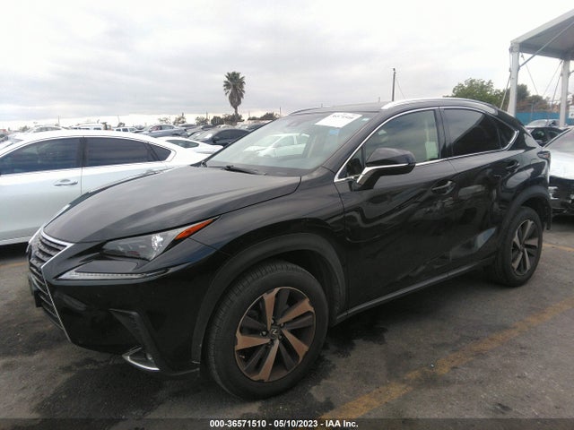 2018 Lexus NX, VIN: JTJYARBZ5J2100663
