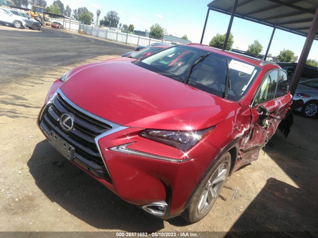 JTJYARBZ4H2061557 Lexus Nx Nx Turbo