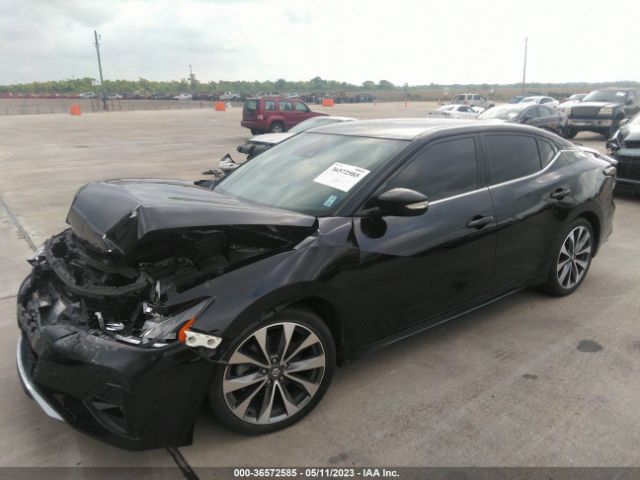1N4AA6AV2KC381999 Nissan Maxima Sr