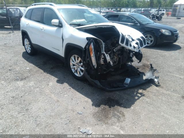 1C4PJMDS6GW228154 auction archive image
