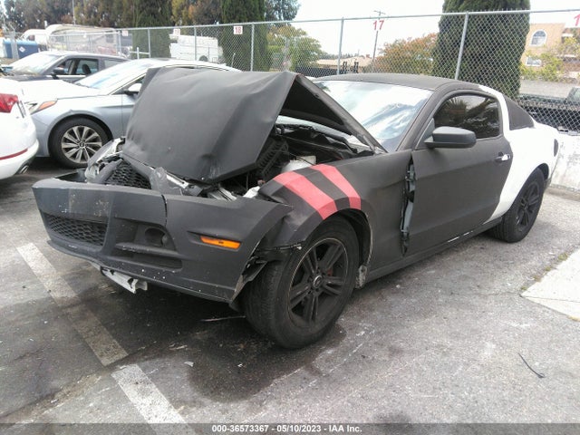 Ford Mustang V6 2014 1ZVBP8AM0E5281289 Image 2