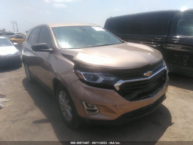 Chevrolet EQUINOX LS 2019 2GNAXHEV9K6167977 Image 1