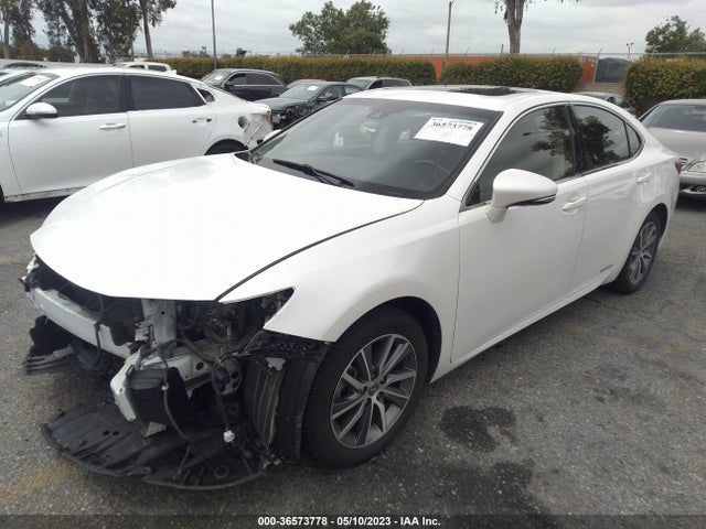 JTHBW1GG5J2191791 Lexus Es Es 300h